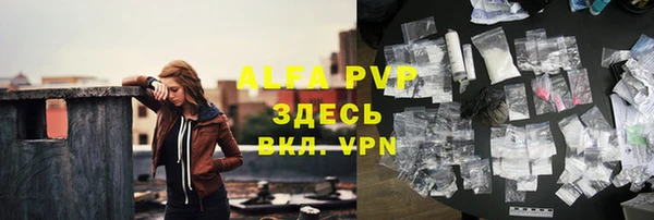 PSILOCYBIN Корсаков