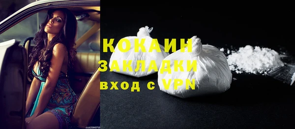 PSILOCYBIN Корсаков