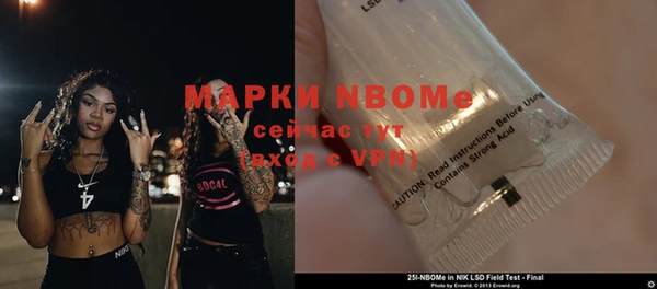 PSILOCYBIN Корсаков