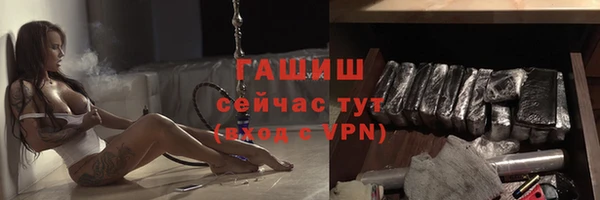 PSILOCYBIN Корсаков