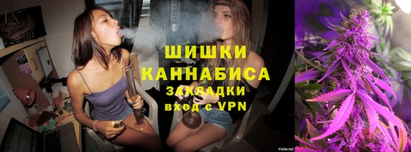 PSILOCYBIN Корсаков
