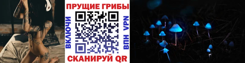 наркошоп  Салават  Галлюциногенные грибы Psilocybe 