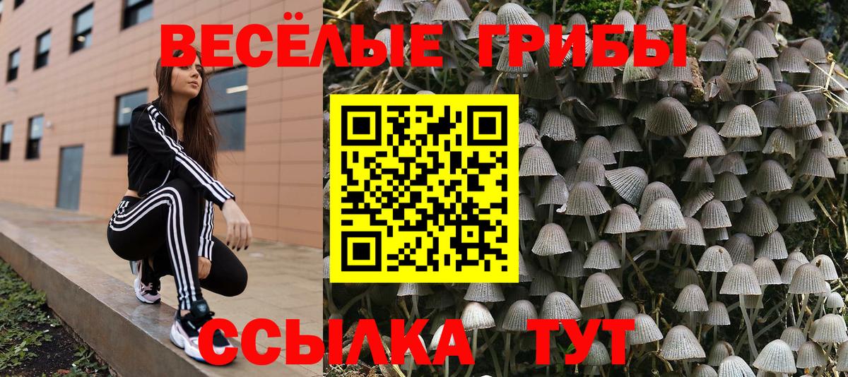 Галлюциногенные грибы Psilocybine cubensis Салават